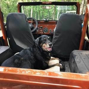 Meet your Posher, Beth